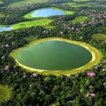 Aerial Pantanal