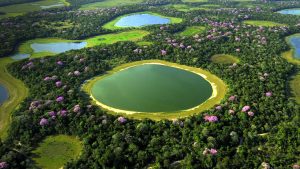 Aerial Pantanal