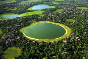 Aerial Pantanal