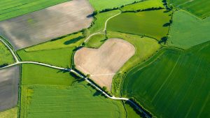 Heart-shaped Field