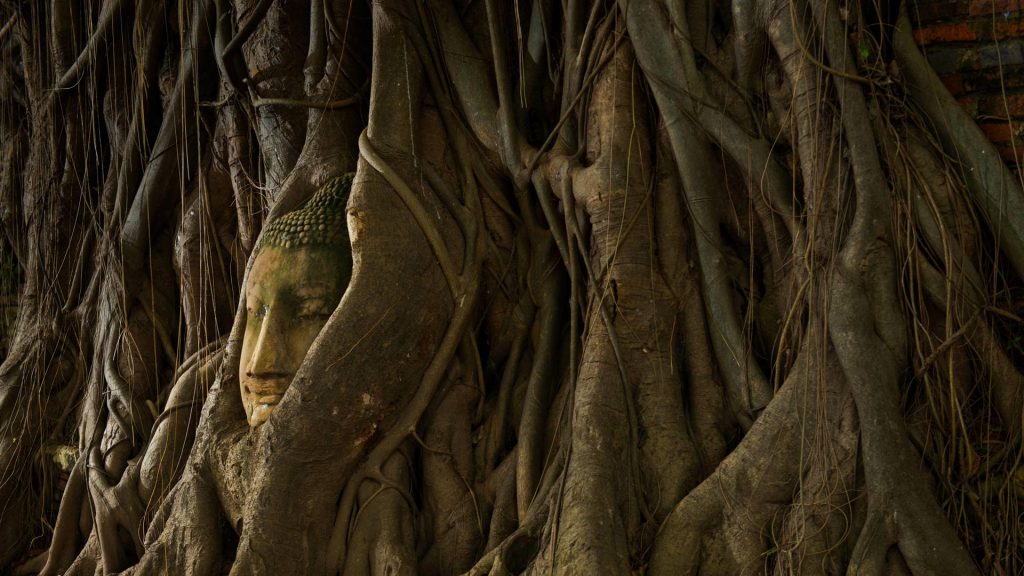 Ayuttaya Buddha