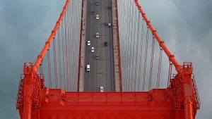 Birdseye GGB