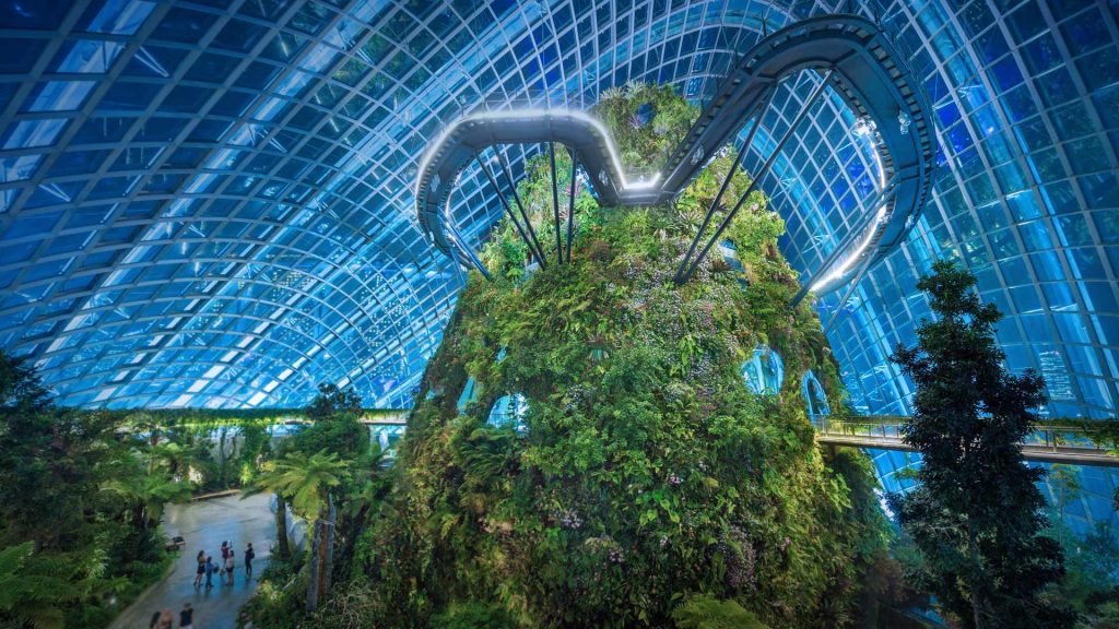 Cloud Forest