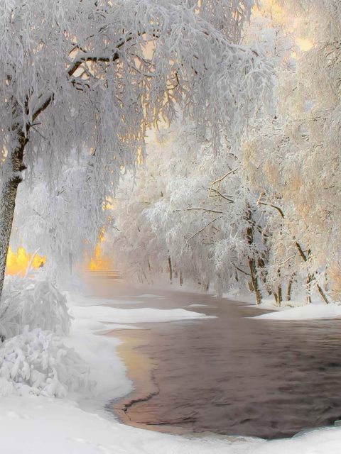 Kuhmo Lapland – Bing Wallpaper Download