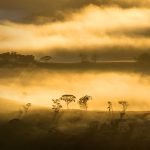 Minas Gerais Mountains