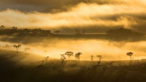 Minas Gerais Mountains