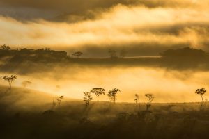 Minas Gerais Mountains