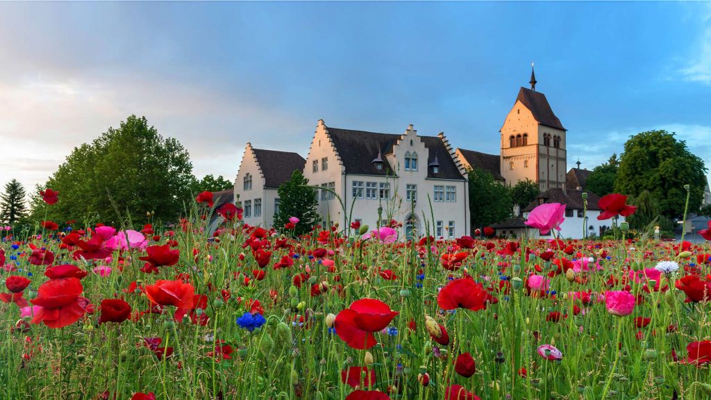 Reichenau Sommer