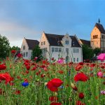 Reichenau Sommer