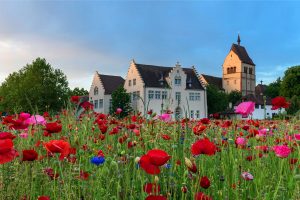 Reichenau Sommer