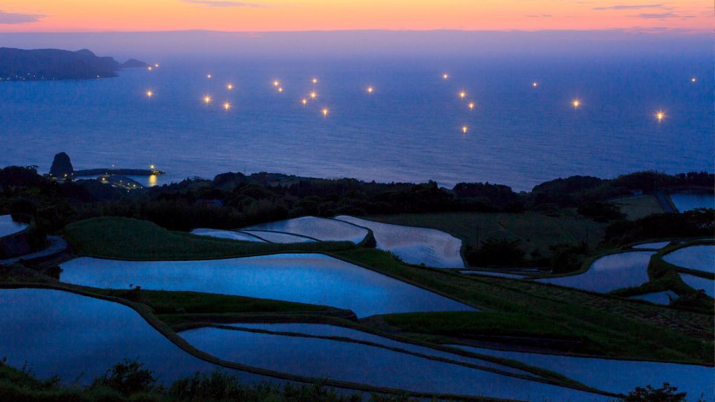 Rice Fields Lights