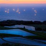 Rice Fields Lights