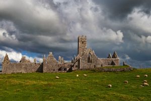 Ross Errilly Friary