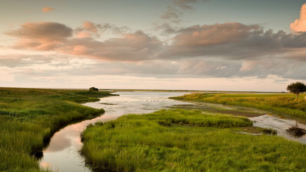 Shediac Marshland