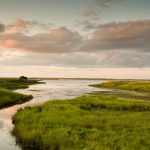 Shediac Marshland