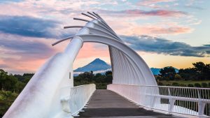 Te Rewa Rewa Bridge