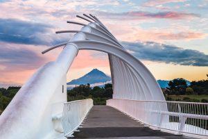 Te Rewa Rewa Bridge