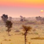 Thar Desert Rajasthan