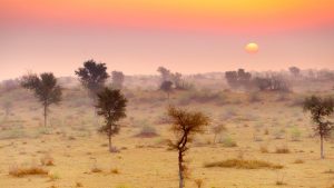 Thar Desert Rajasthan