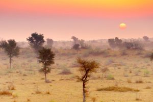 Thar Desert Rajasthan