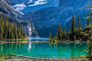 Yoho Lake