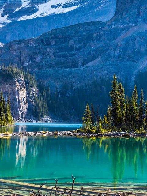 Yoho Lake – Bing Wallpaper Download