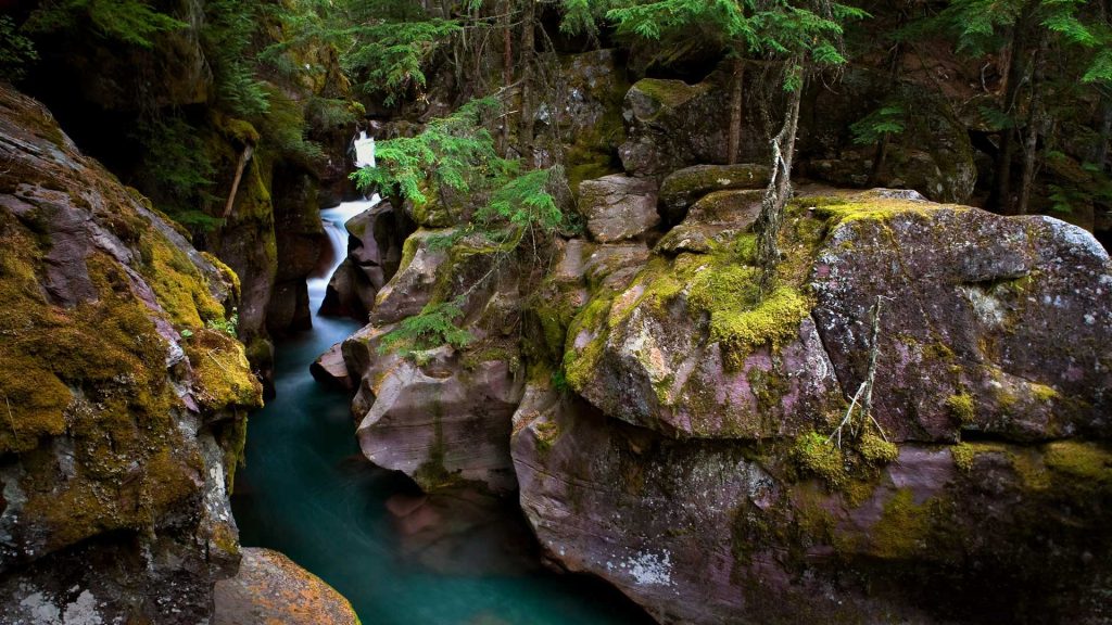 Avalanche Creek