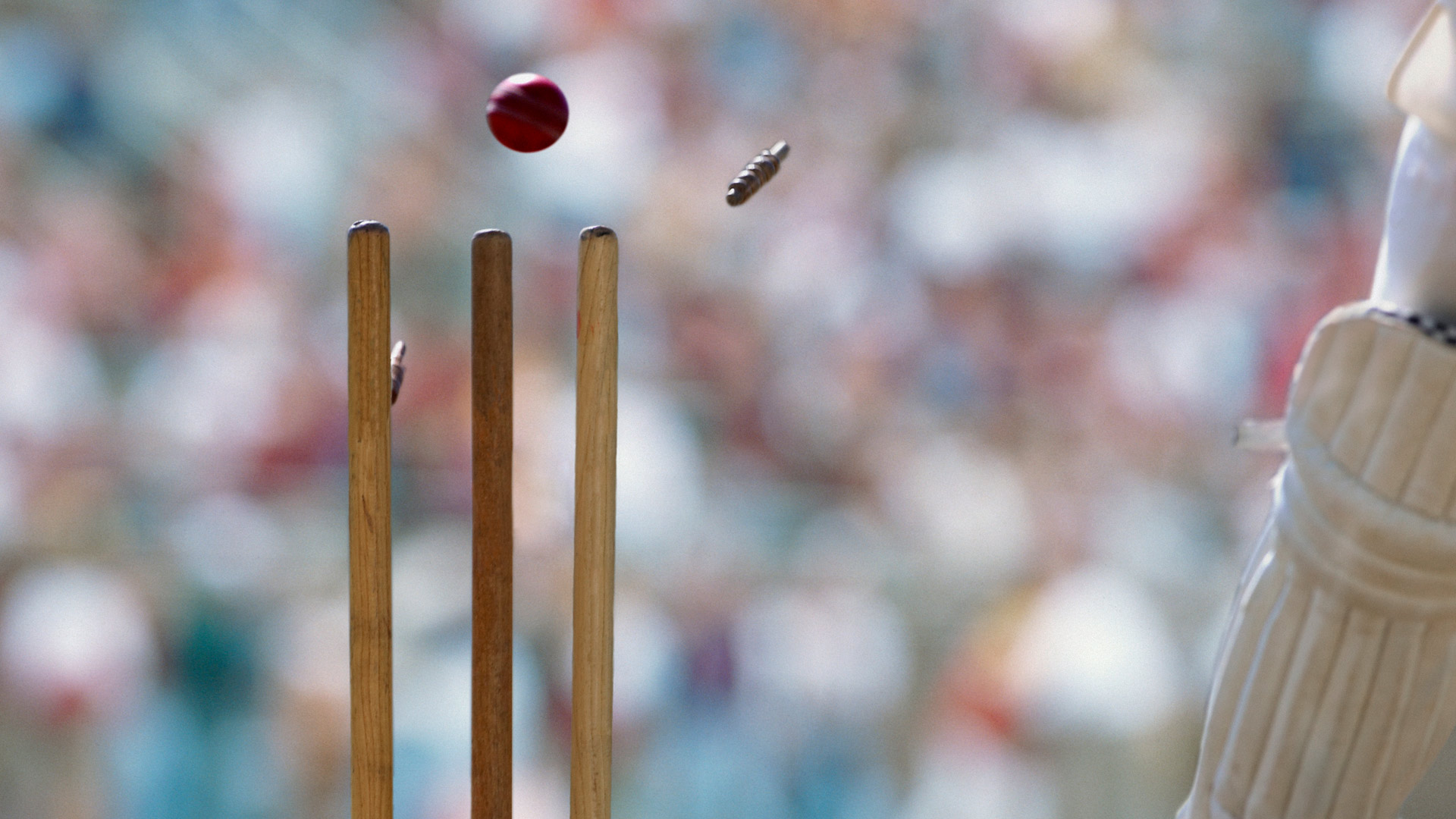 Cricket Wicket – Bing Wallpaper Download