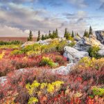 Dolly Sods