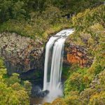 Ebor Falls Video