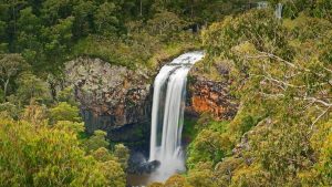 Ebor Falls Video