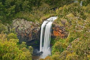 Ebor Falls Video