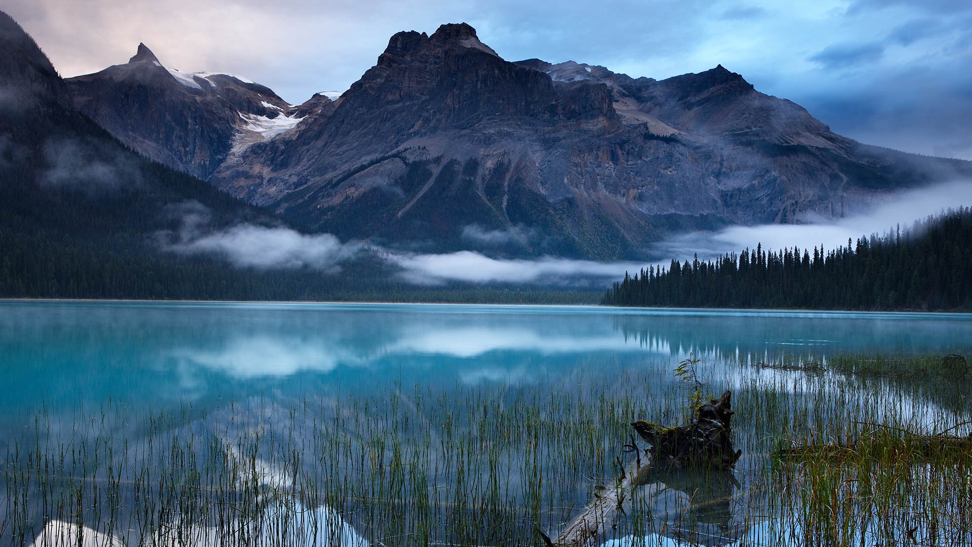 Emerald Lake Peaks Bing Wallpaper Download