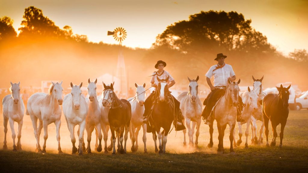 Gauchos