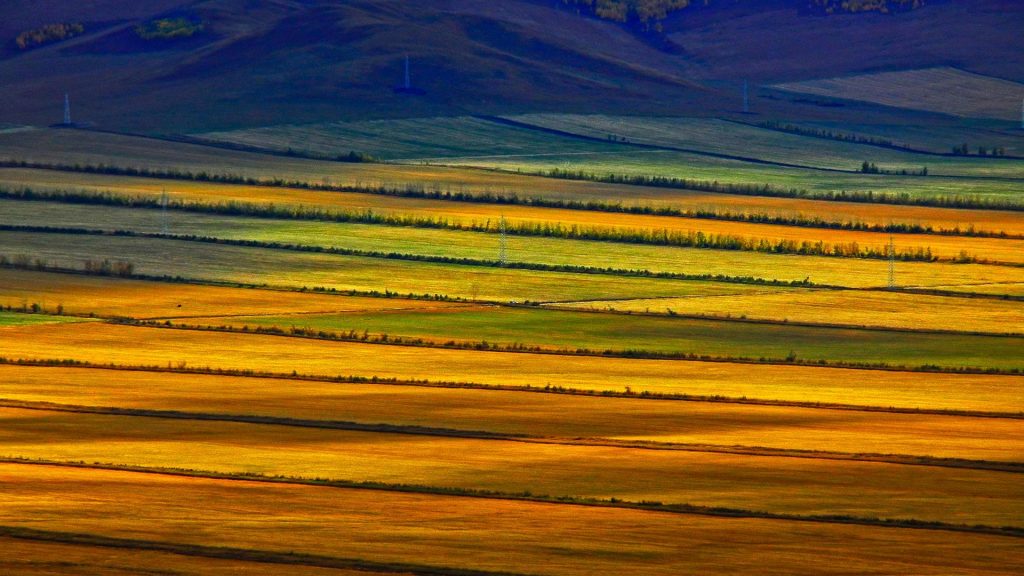 Hulunbuir Prairie