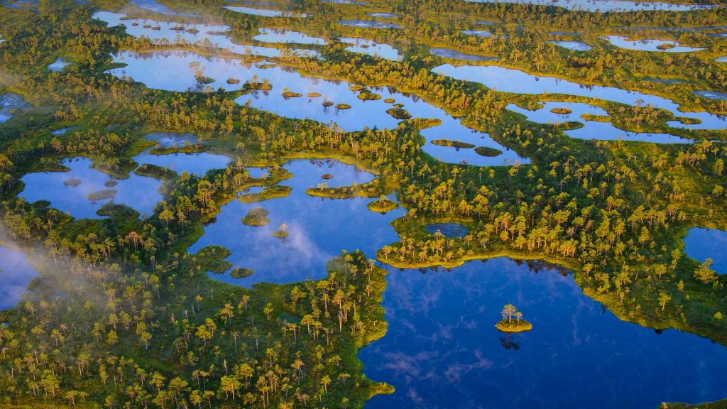 Kemeri Bog