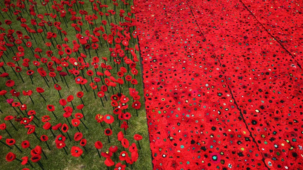 Knitted Poppies