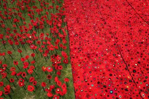 Knitted Poppies