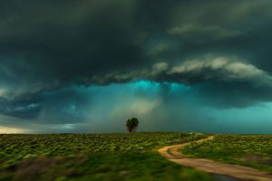 Lamar Storm