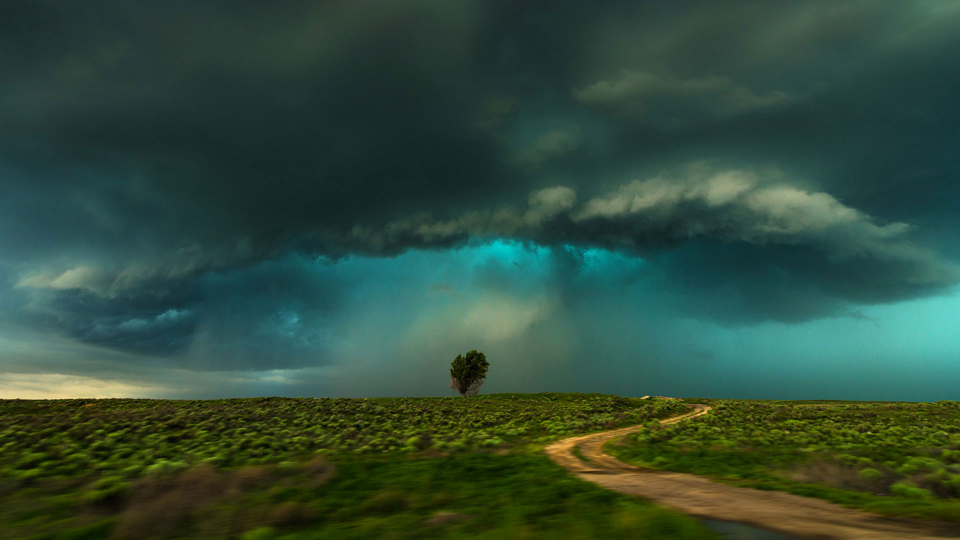 Lamar Storm – Bing Wallpaper Download