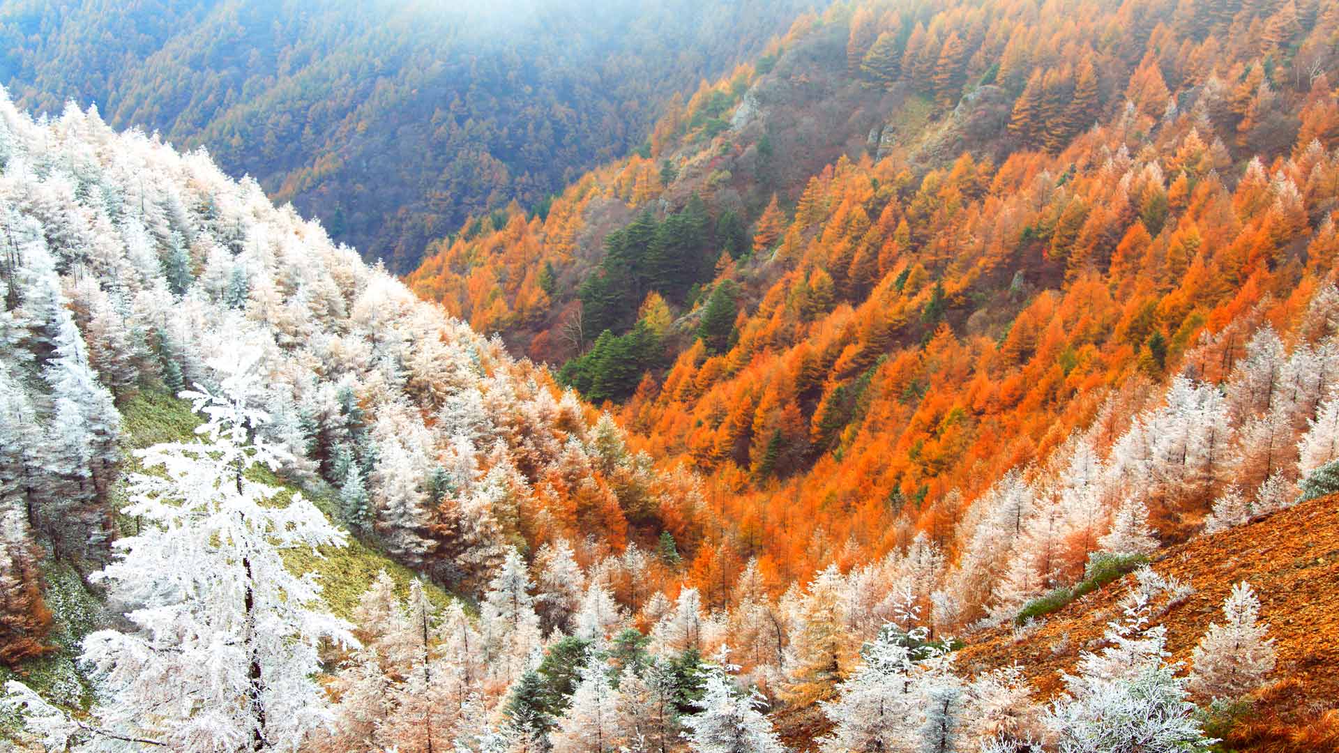 Nagano Winter – Bing Wallpaper Download