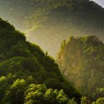 Poenari Castle