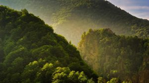 Poenari Castle