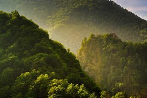 Poenari Castle