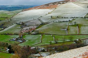 Powys County