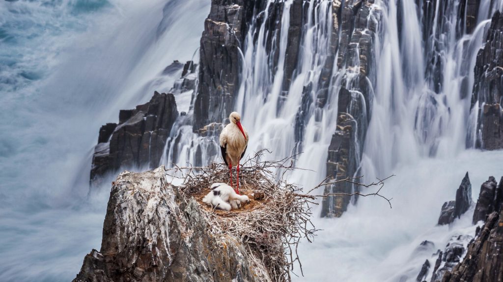 Stork Cliffs