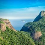 Tijuca Forest