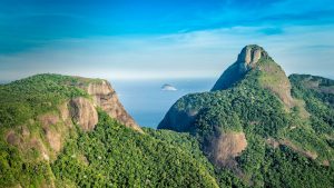 Tijuca Forest