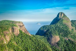 Tijuca Forest