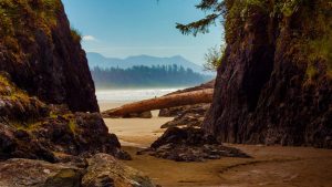 Tofino Beach